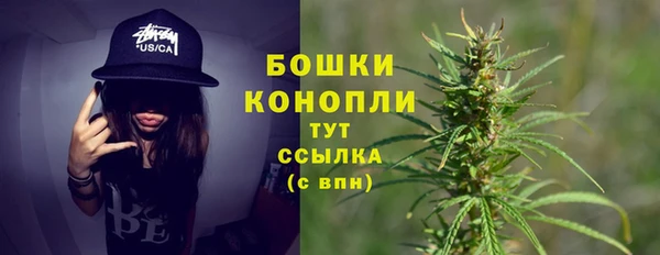 СК Балахна