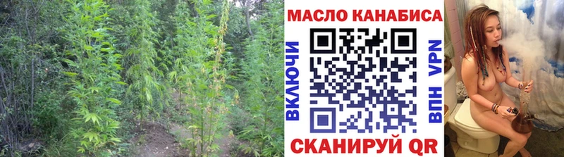 ТГК вейп  Курильск 
