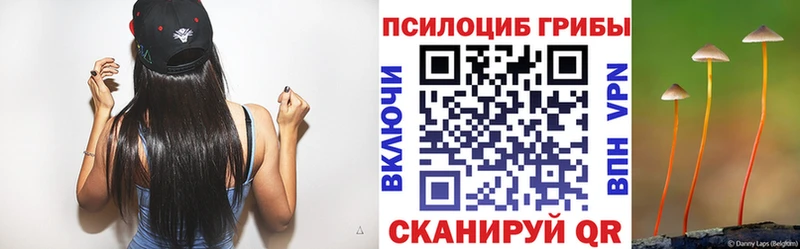 Галлюциногенные грибы Magic Shrooms  Курильск 